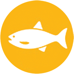 Poisson